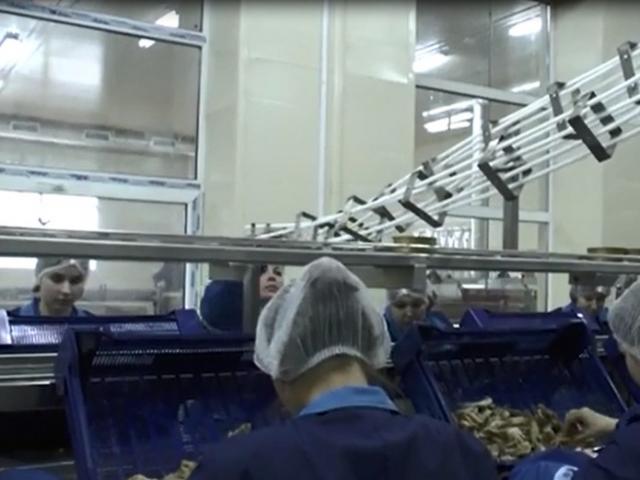Гравитационная направляющая для пустой жестяной тары в Нягани